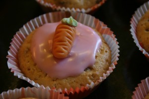 Cranberry-Oster-Muffins