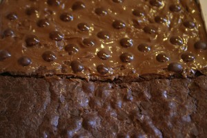 Brownie vs. Triple chocolate brownie