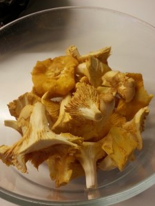 Kantareller2