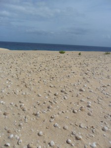 düne4