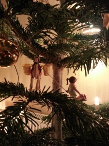 Baum2